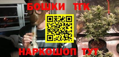 PSILOCYBIN Славгород