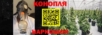 PSILOCYBIN Славгород