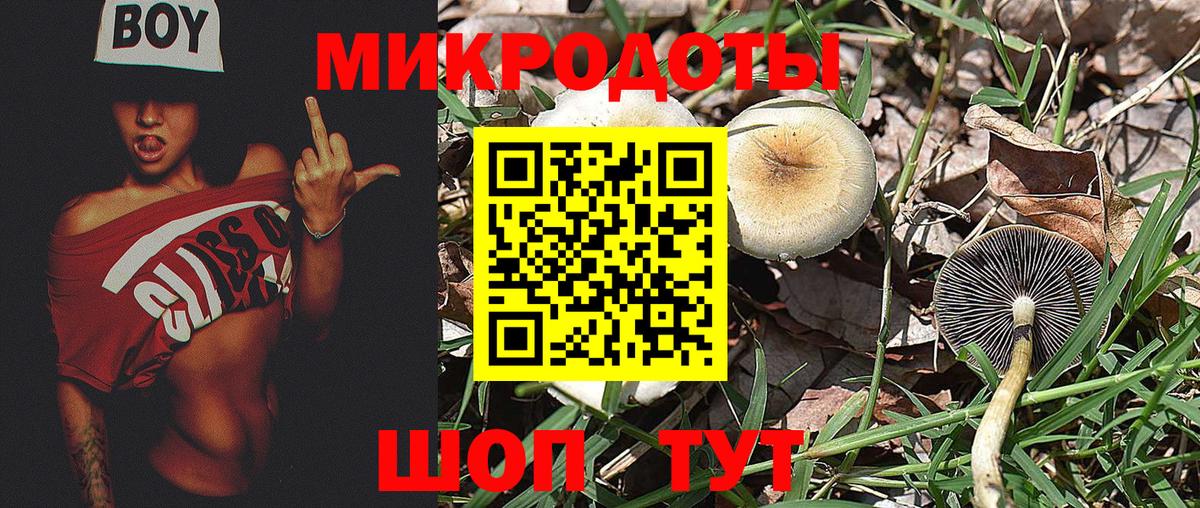 Ревда  Галлюциногенные грибы ЛСД  Псилоцибиновые грибы ЛСД  Вход с VPN 